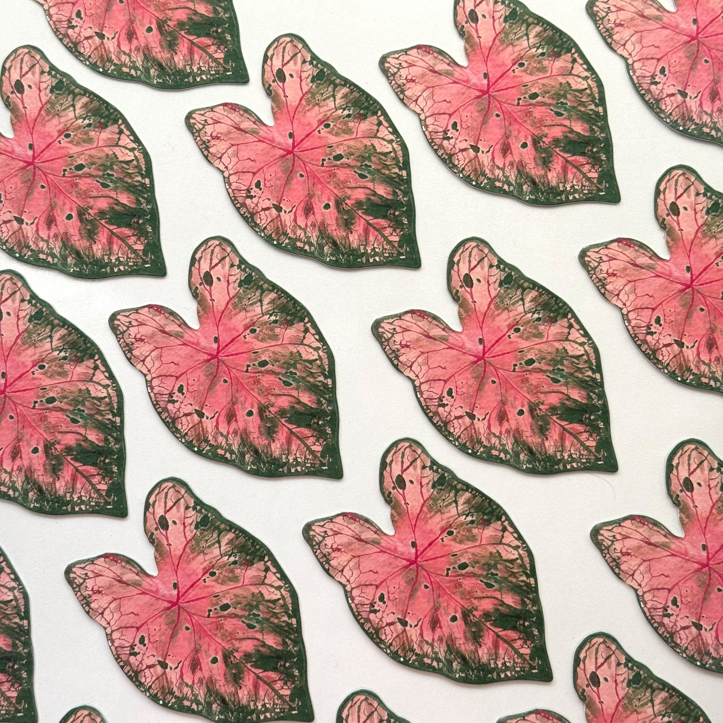 Caladium Leaf Bookmark No.10