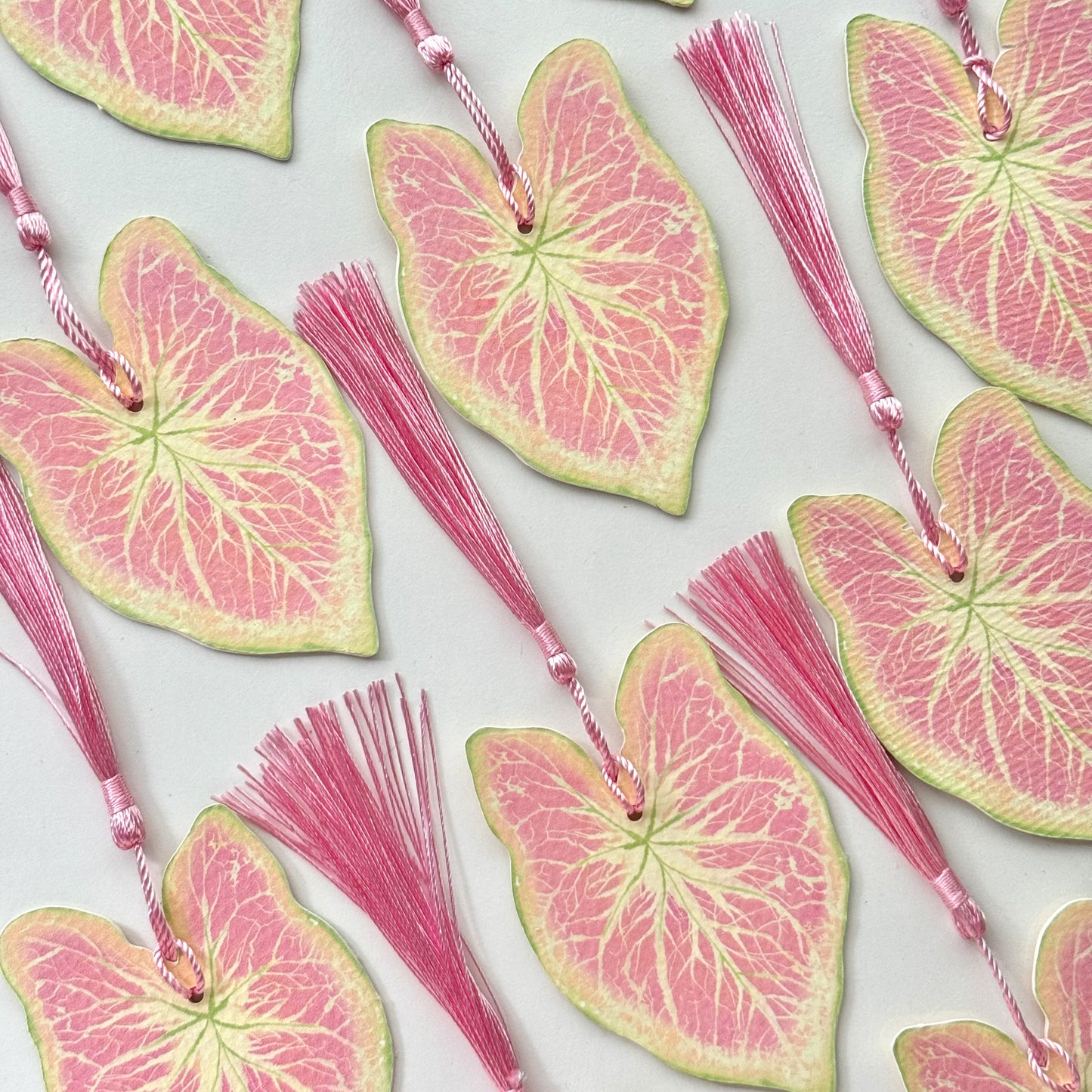 Caladium Leaf Bookmark No.12