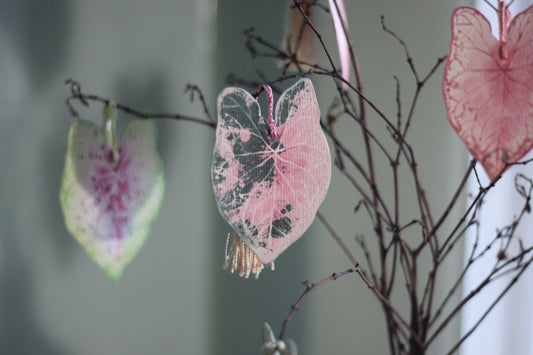 A leaf that no longer belongs to the tree