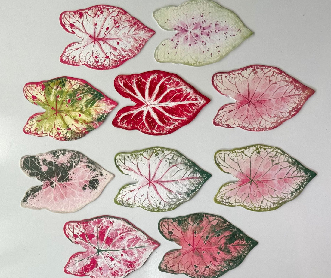 Caladium Leaf Bookmarks: A Botanical Series Inspired by Nature's Most Colorful Leaf