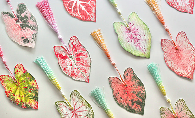 Not just a bookmark, but a piece of memory preserved from nature