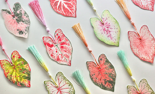 Not just a bookmark, but a piece of memory preserved from nature