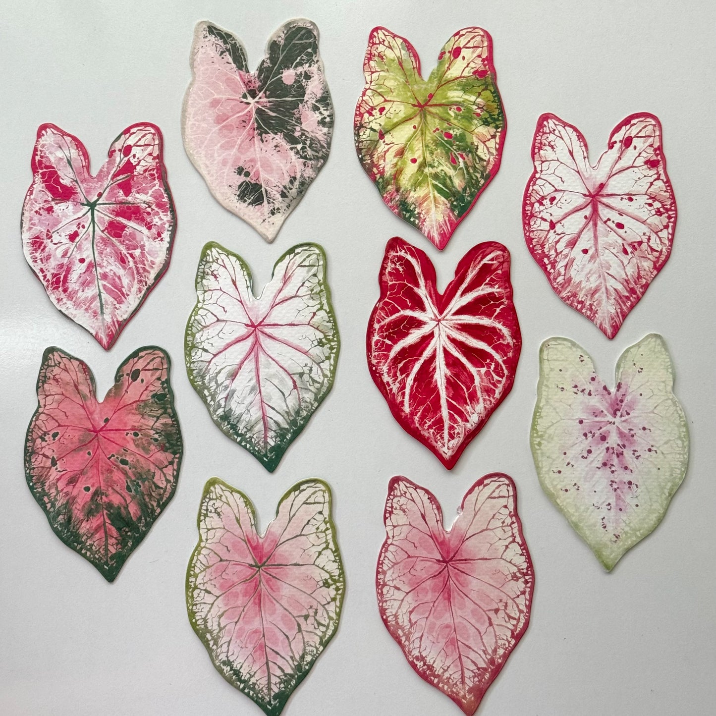 Caladium Garden Bookmark Set – Collection of 10