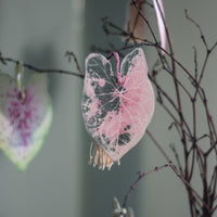 Caladium Garden Bookmark Set – Collection of 10
