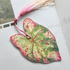 Caladium Leaf Bookmark No.07