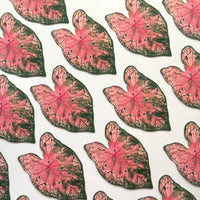 Caladium Leaf Bookmark No.10