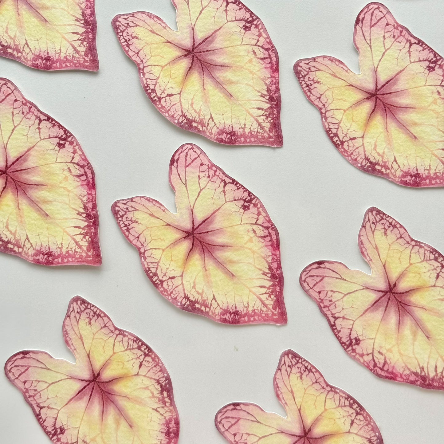 Caladium Leaf Bookmark No.11