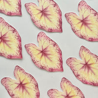 Caladium Leaf Bookmark No.11