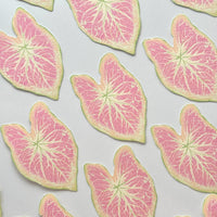 Caladium Leaf Bookmark No.12
