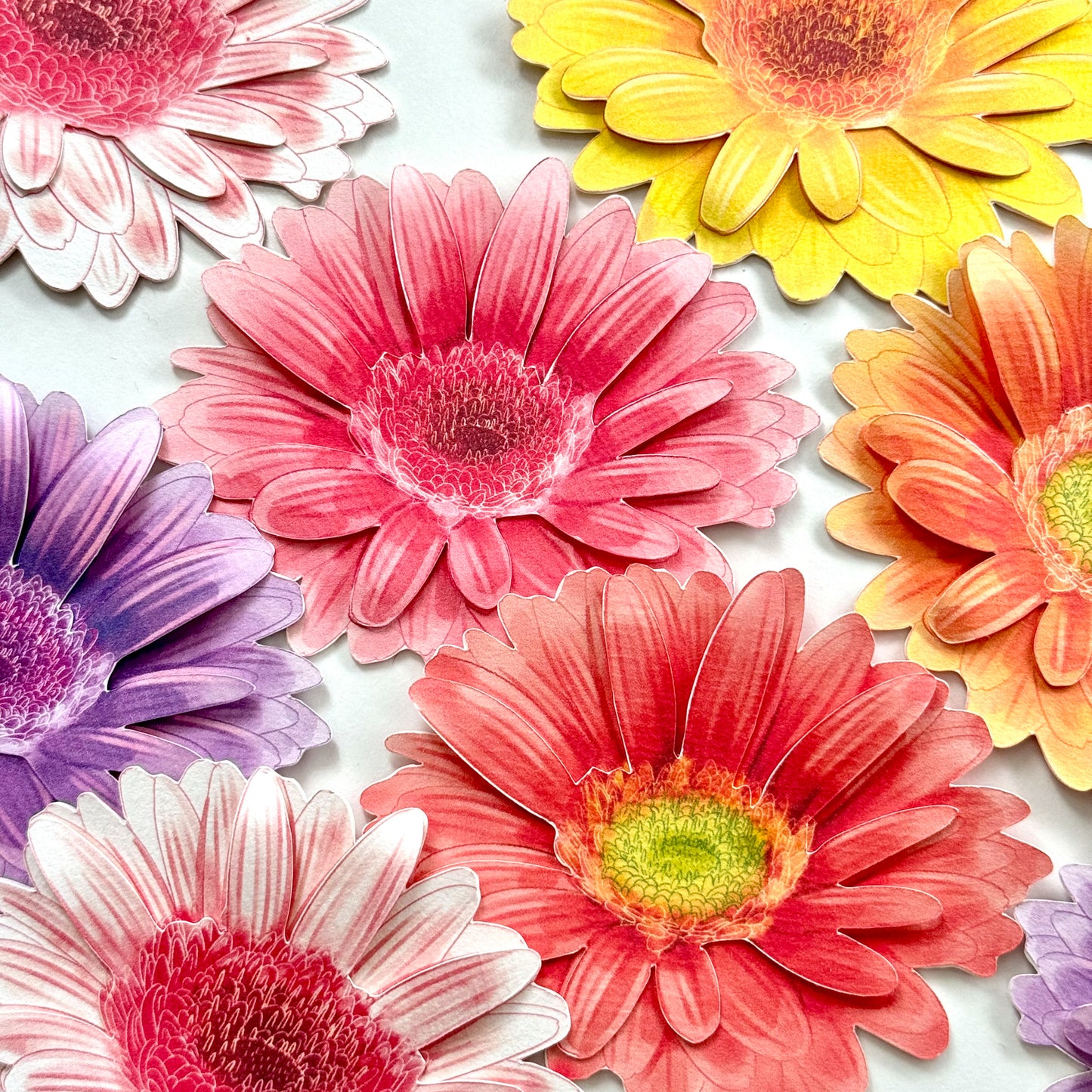 Gerbera Garden Bookmark Set – Collection of 6