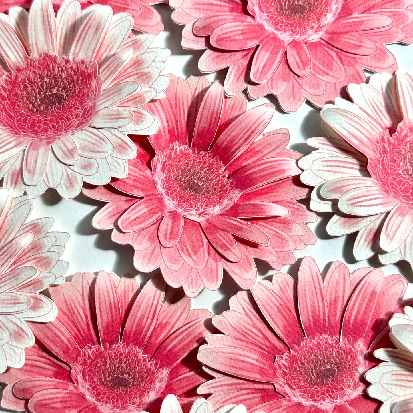 Gerbera Garden Bookmark Set – Collection of 6