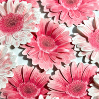 Gerbera Garden Bookmark Set – Collection of 6