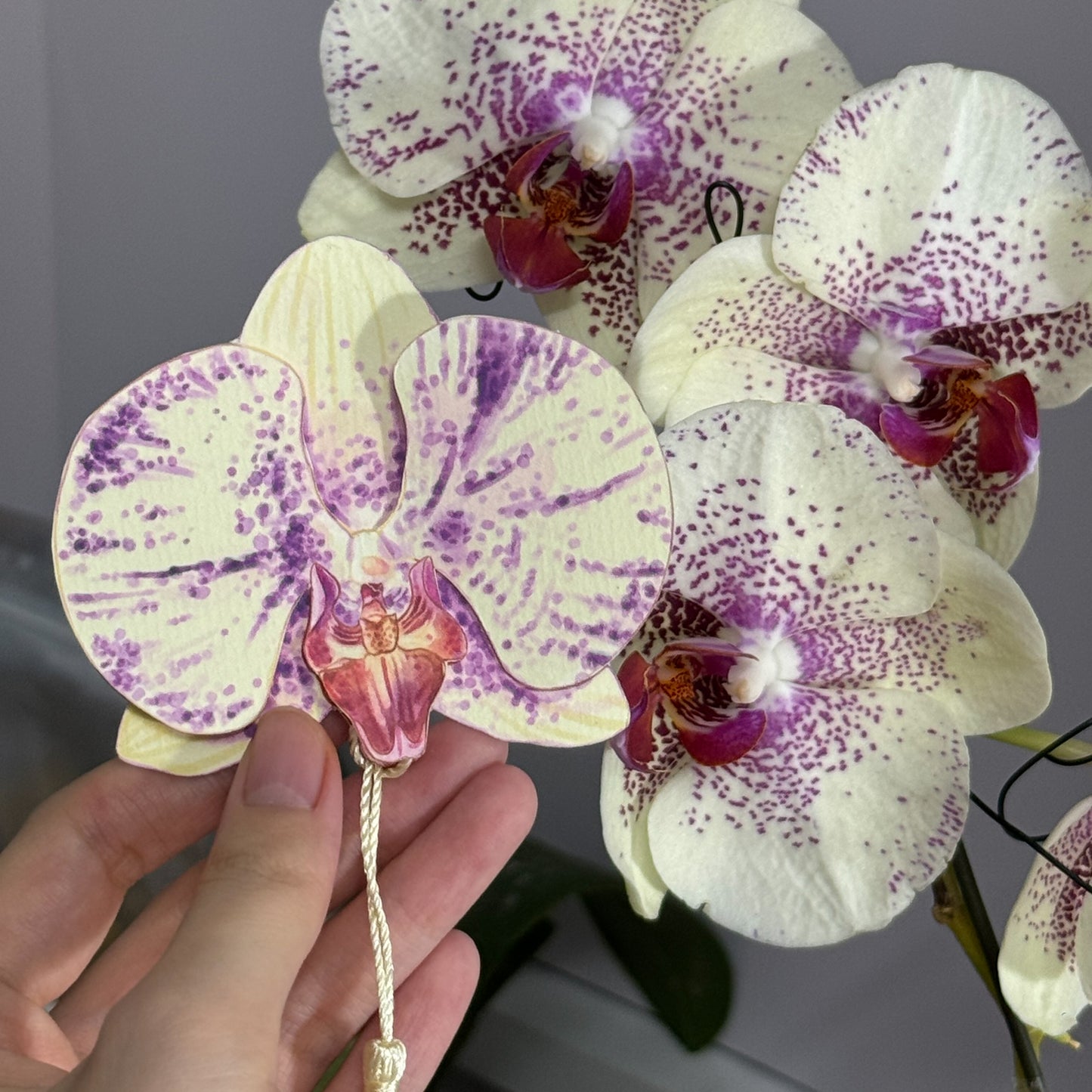 Orchid Flower Bookmark No.02