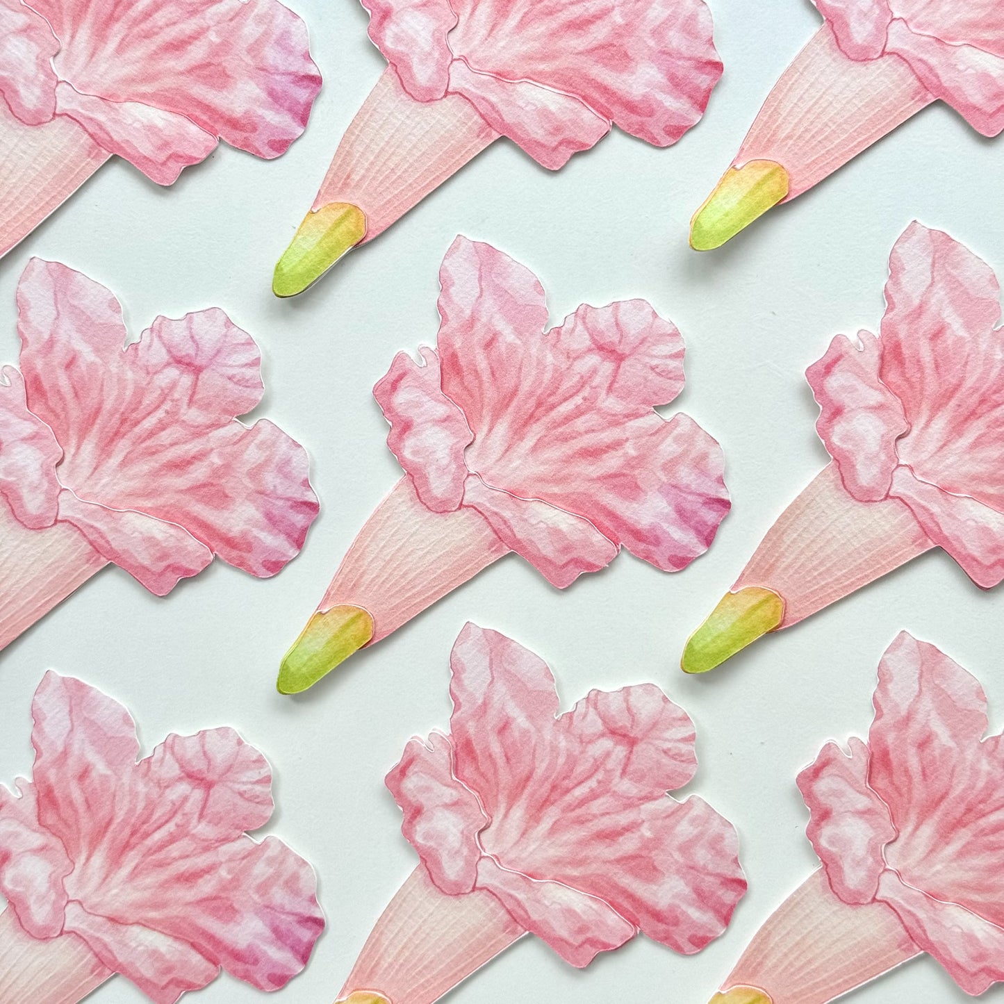 Pink Trumpet Flower Bookmark No.01