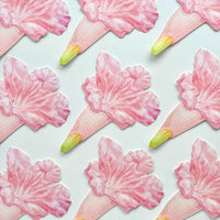 Pink Trumpet Flower Bookmark No.01